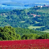 Hrad Branč