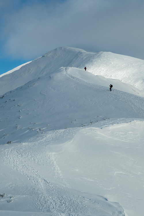 Nekonečná zimná cesta