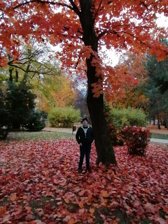 Pestrofarebná jeseň