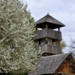 Skanzen Modrá