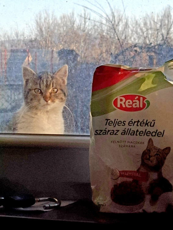 Pochúťka za oknom.