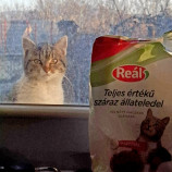 Pochúťka za oknom.