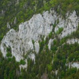 Skalné steny Tlstej / Veľká Fatra