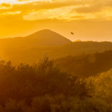 Posledné lúče slnka