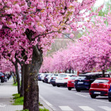 Najkrajšia ulica v Nitre