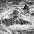 Water polo