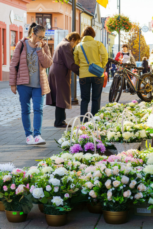 Ktorý si vyberiem ?