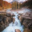 Sunwapta falls