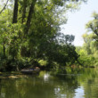 Zelený raj