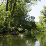 Zelený raj