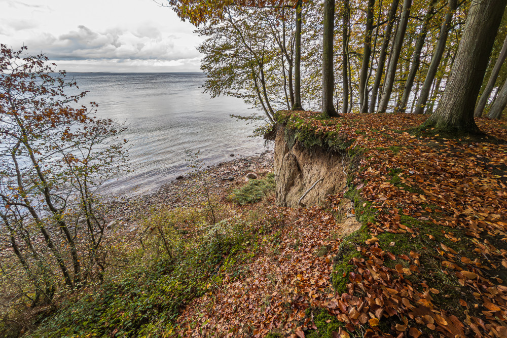 Jeseň pri Baltickom mori