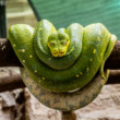 Relax - Zoo Bojnice