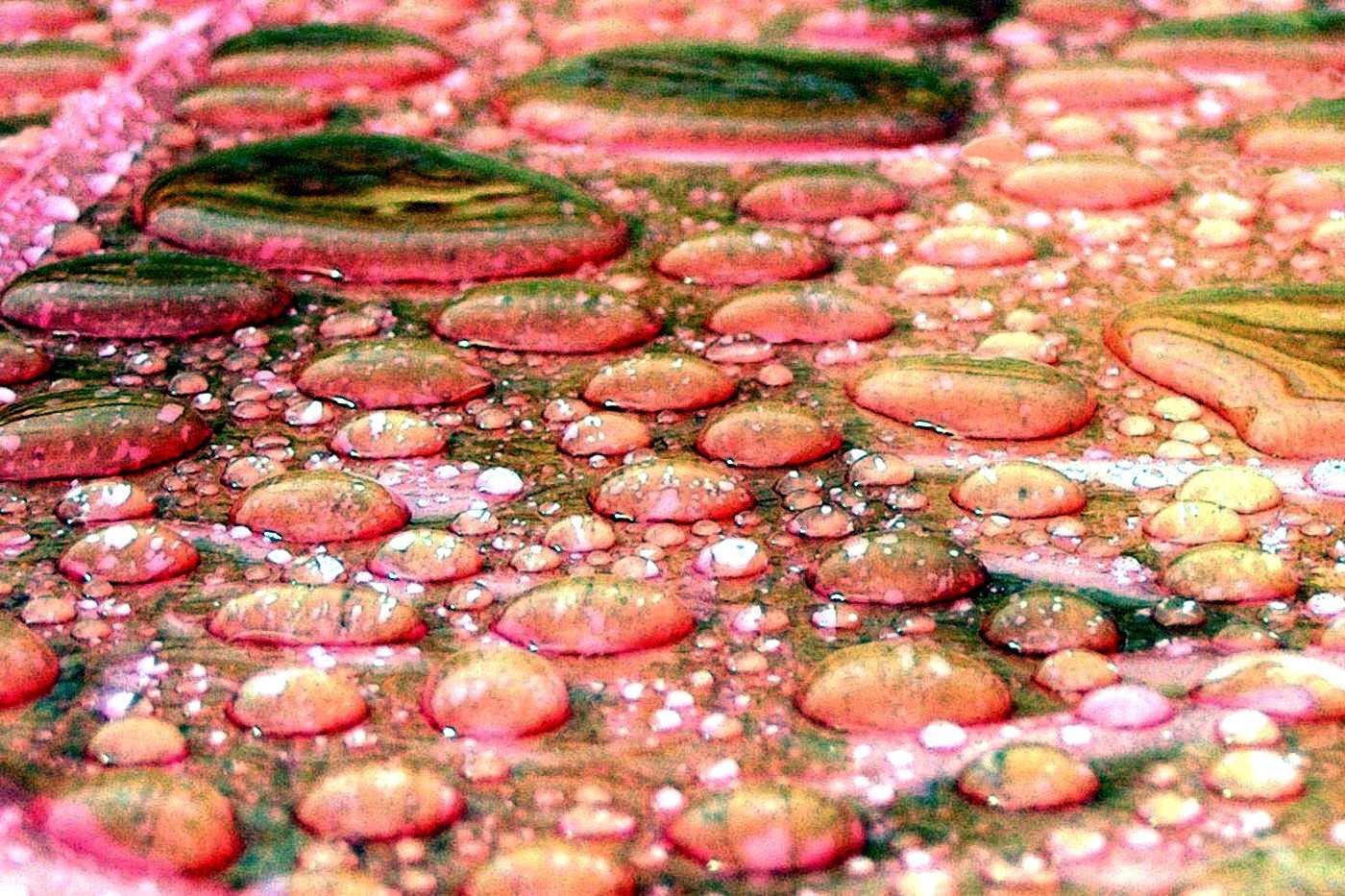 Bubble rain Kreatívny svet Súťaže Fotoma.sk