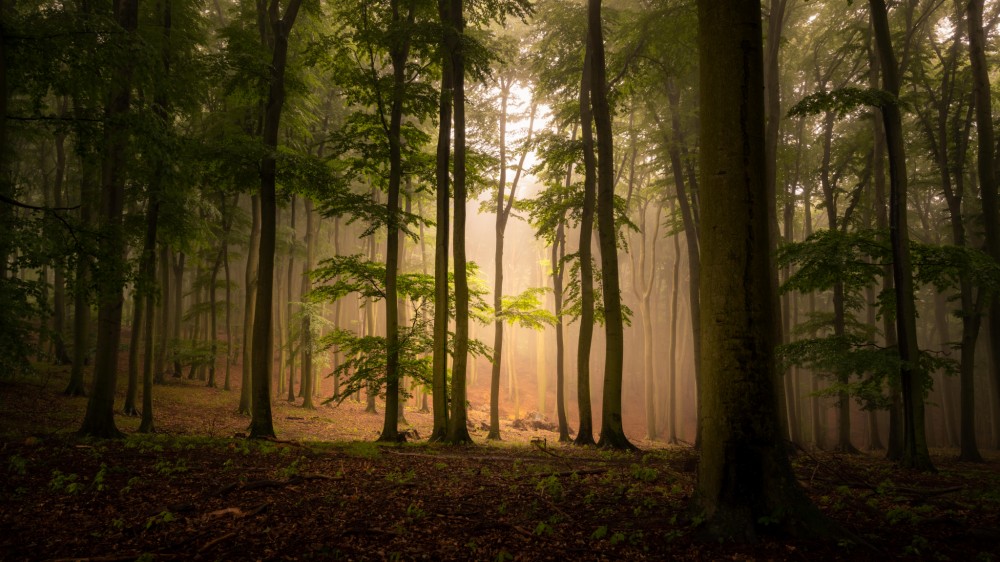 Rozpravkova atmosfera v Malych Karpatoch