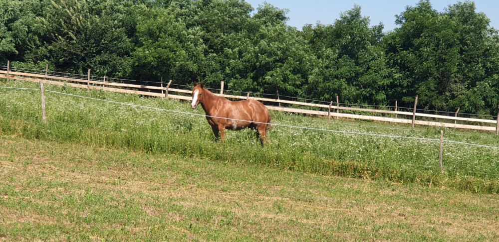 Pokoj