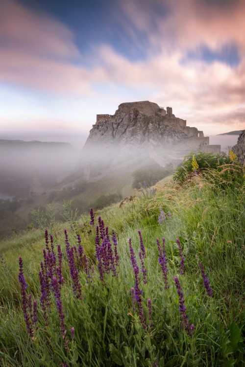 Zahmlený hrad Devín