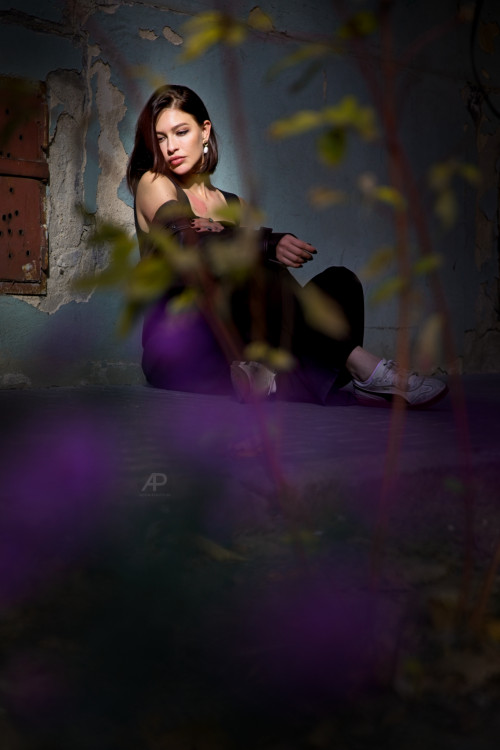 Purple Haze