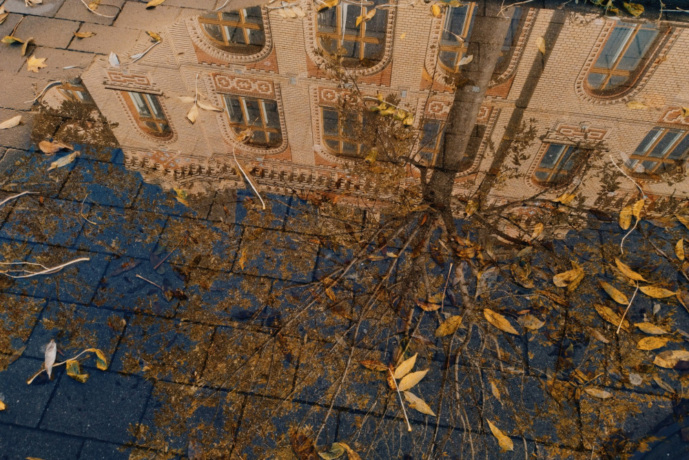 Reflection