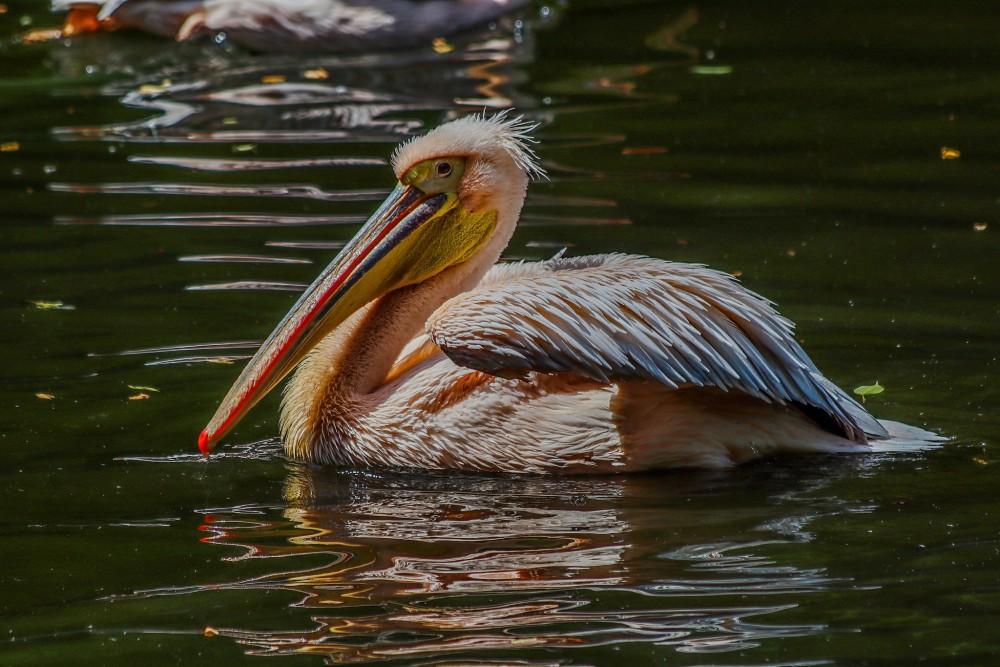 Zoo Zlín