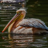 Zoo Zlín