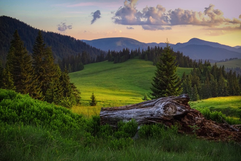 Smrekovica - Veľká Fatra