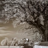 Slovensko. Liptov. Starou cestou z Ludrovej do Ružomberka.