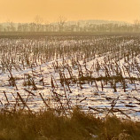 Obyčajné pole v zimnom slnku