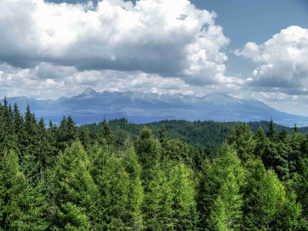 Slovensko naše