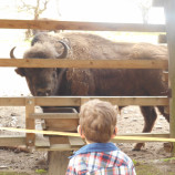 Najkrajšie foto,SLOVENSKO