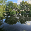 Vyliata Morava