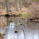 Močiare pri kameňáku...