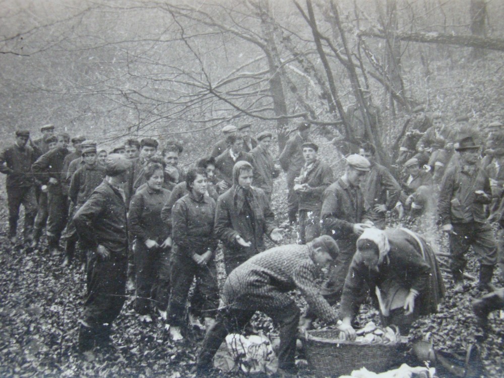 brigáda