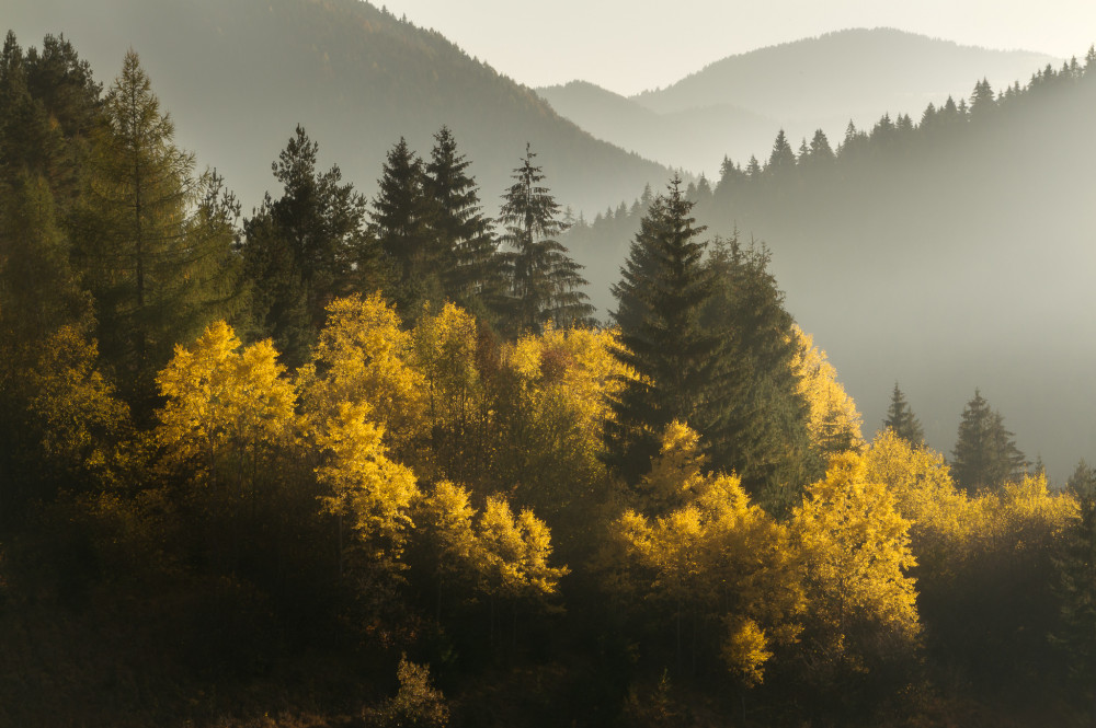 Jeseň  v Chočských vrchoch