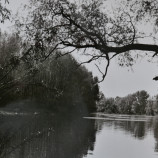 Hrušov rameno Dunaja 1986