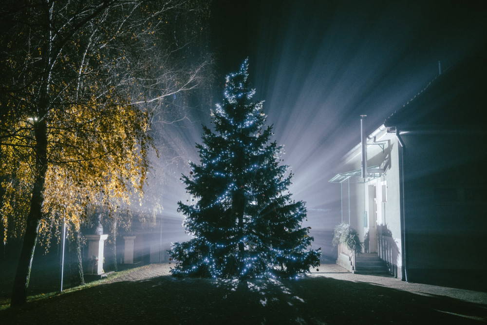 Tichá vianočná hmla