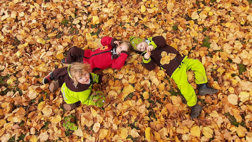 Pohoda na lístovisku