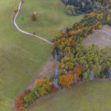 Najkrajšie stromy sú na Horehroní