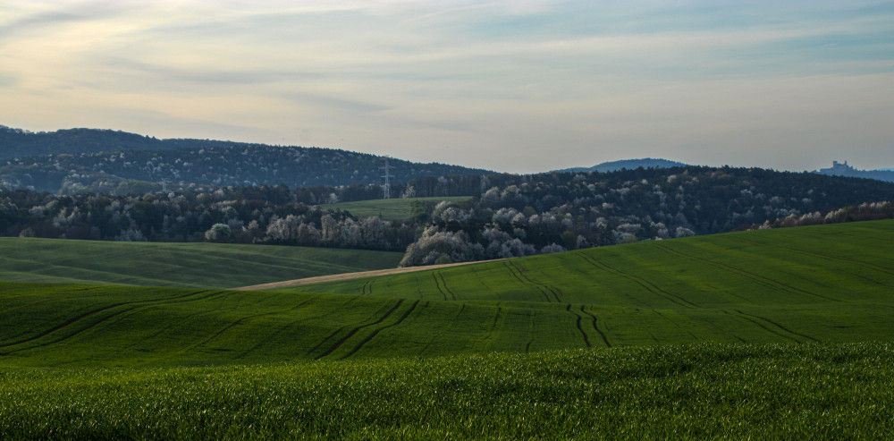 Príroda riadená človekom 02