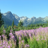 Tatry na poludnie