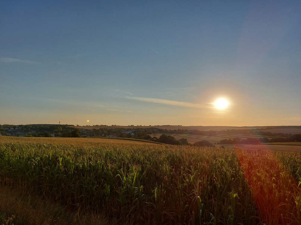 Skvelý letný deň - spomienka
