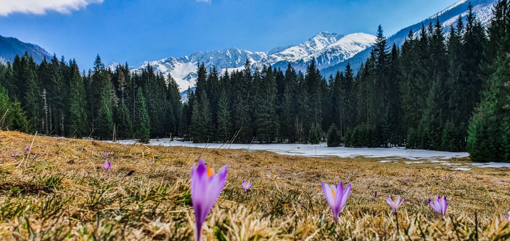 Jar v Západných Tatrách