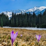 Jar v Západných Tatrách
