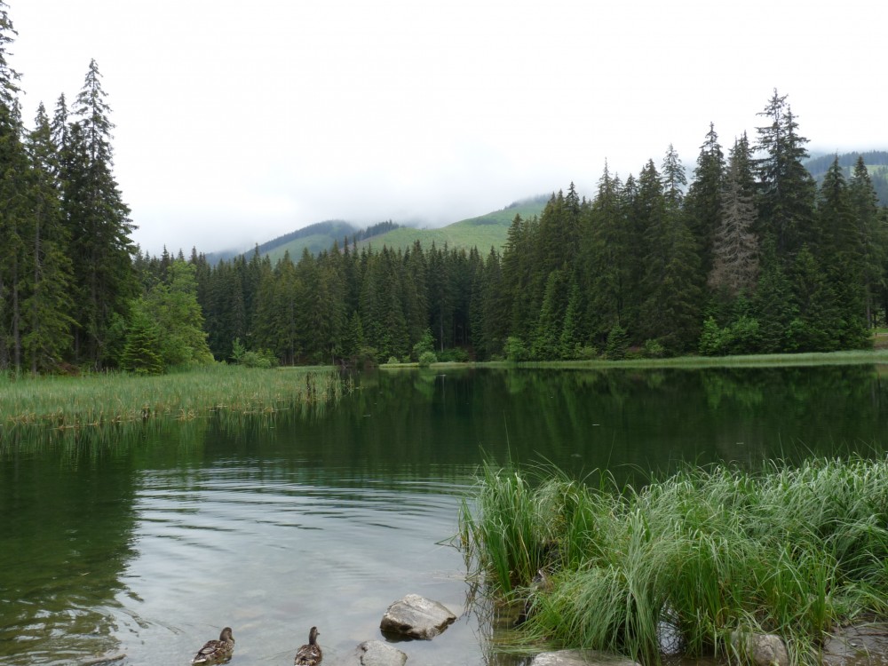 Vrbické pleso