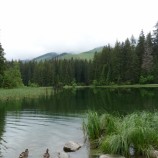 Vrbické pleso