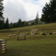 Čutkovská dolina
