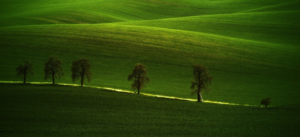 Gaštany, Morava