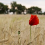 Stand Tall
