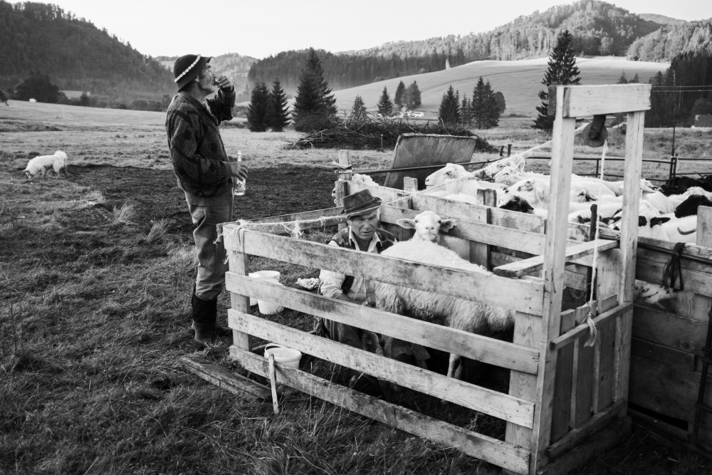 Pastieri zo Zbojskej
