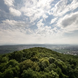 View point
