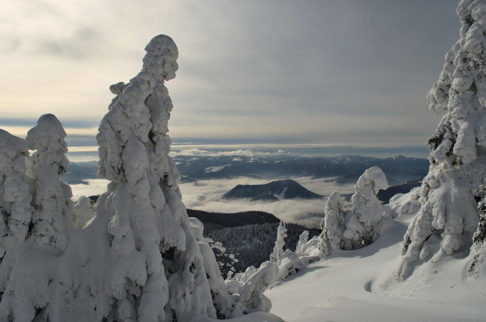 Snehové sochy pod Veľkým Chočom